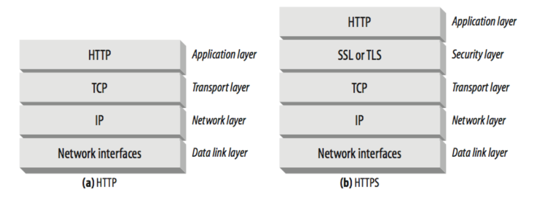 HTTP protocol