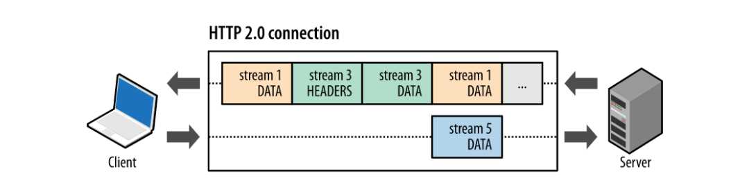 HTTP protocol